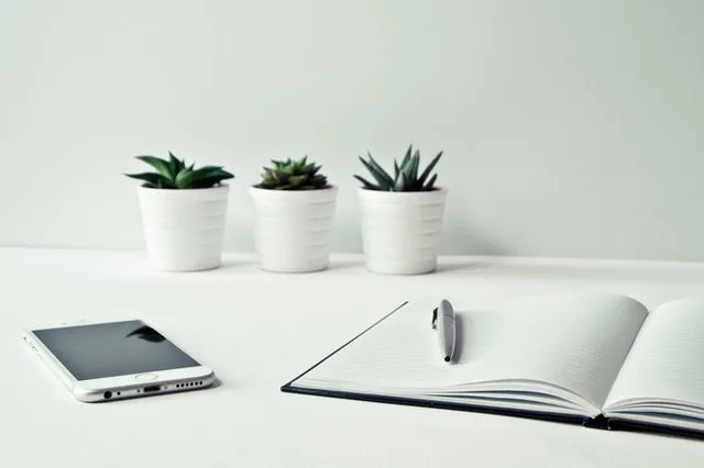 Smartphone, Pflanzen, Kugelschreiber und Buch auf einem weißen Tisch